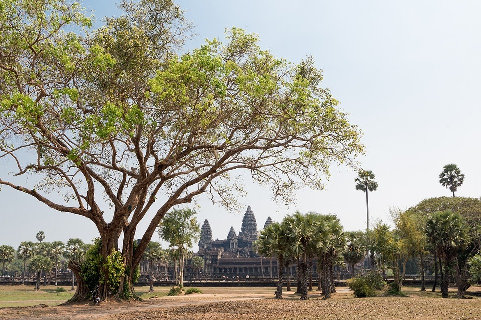 Angkor Wat